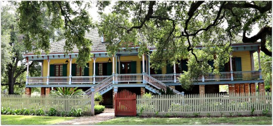 laura-plantation-550x253